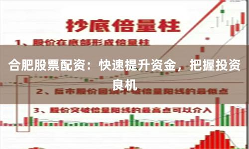 合肥股票配资：快速提升资金，把握投资良机