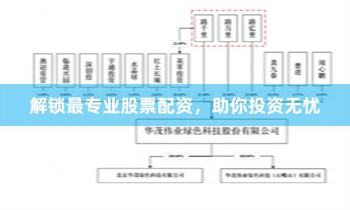 解锁最专业股票配资，助你投资无忧