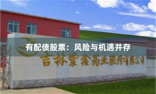 有配债股票：风险与机遇并存