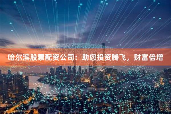 哈尔滨股票配资公司：助您投资腾飞，财富倍增